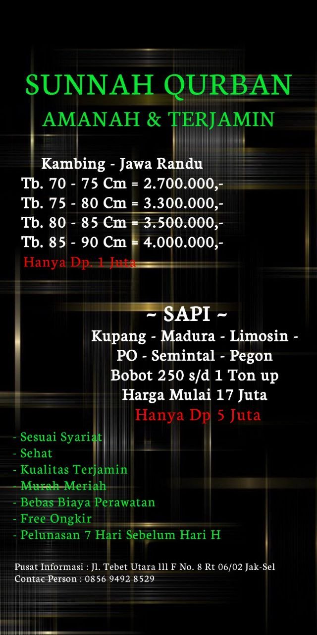 foto berita 1777754115 Jual Hewan Qurban Tebet: Amanah, Terjamin, dan Sesuai Syariat