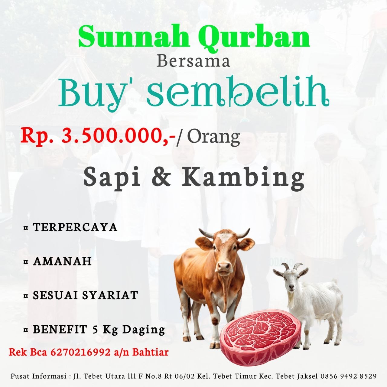 Kambing & Sapi Qurban Premium Sunnah Qurban Tebet - Foto Asli Kandang